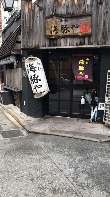 西新 海豚や的实拍高清图