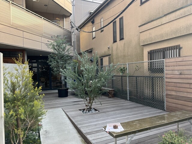 recommendations image for ヤングツリーズコーヒー