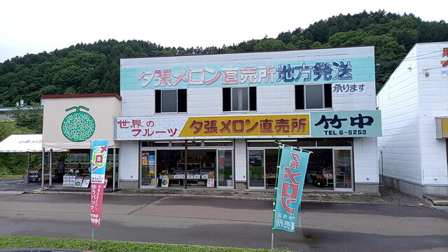 竹中的实拍高清图