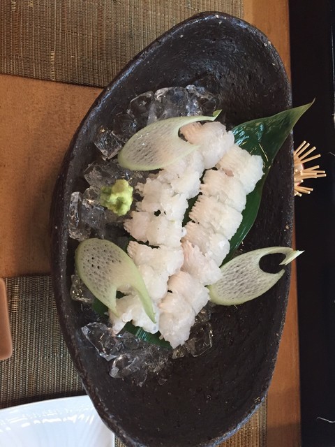 かとう的实拍高清图