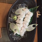 かとう的实拍图