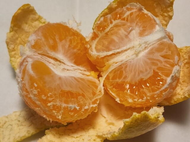 recommendations image for ジャパンミート卸売市場 王子店