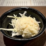 あほう鳥的實拍圖