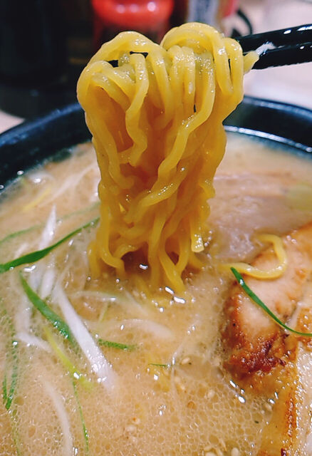 函館麺屋 四代目的实拍高清图