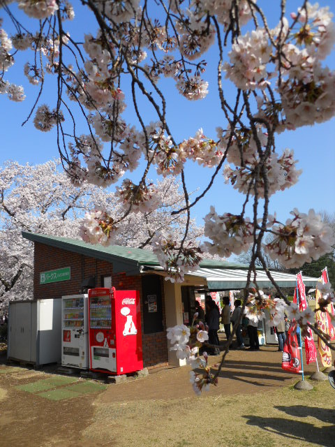 神代植物公園１号売店的實拍圖