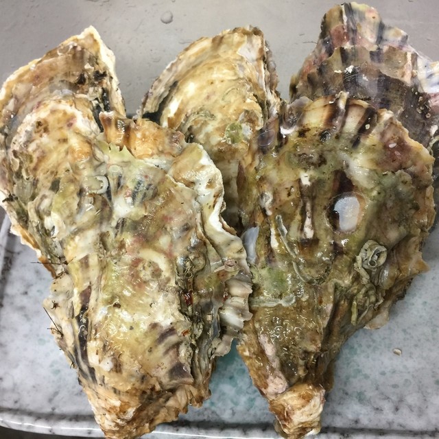 旬菜 松峰的實拍高清圖
