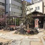 星合茶寮的實拍圖