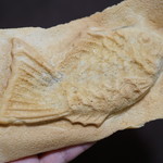 たいやき神田達磨 本店的实拍图