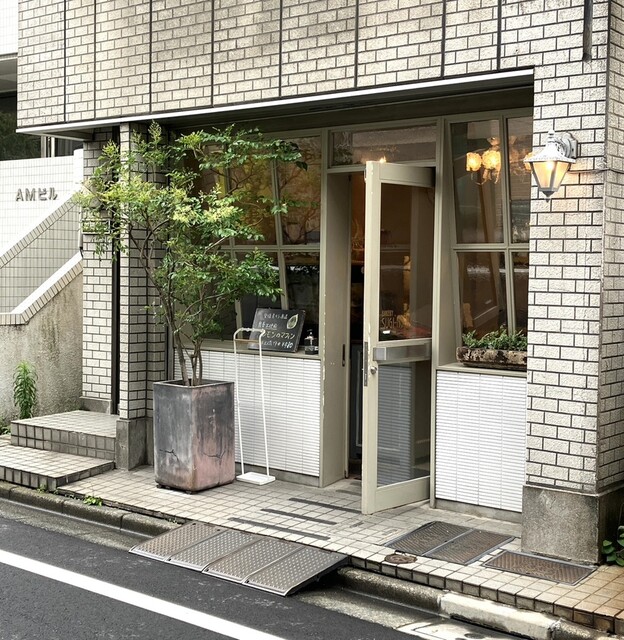 recommendations image for スギノキ