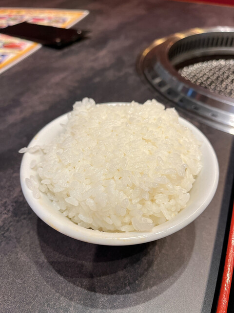 牛勢的實拍高清圖