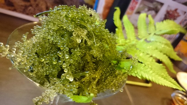 recommendations image for つはこ