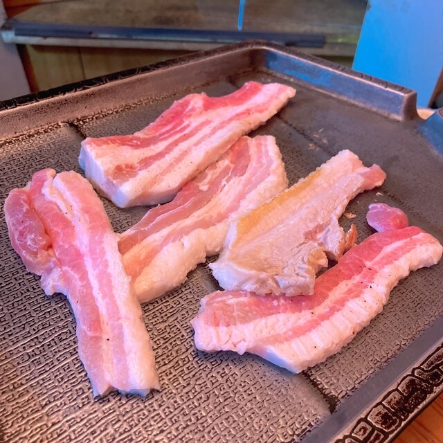 オアシス的實拍高清圖