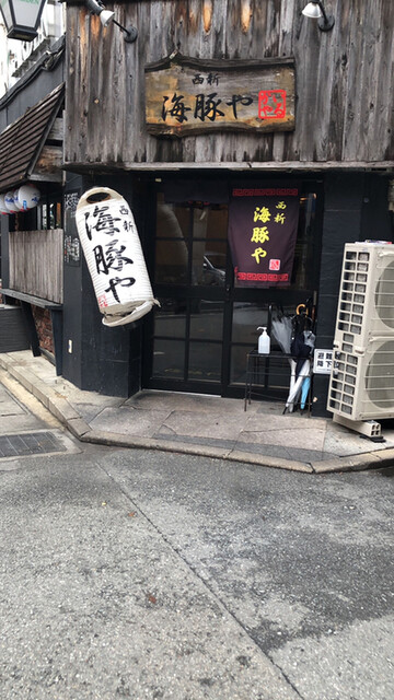 西新 海豚や的实拍高清图