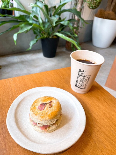 Pati COFFEE&PLANTS的實拍高清圖
