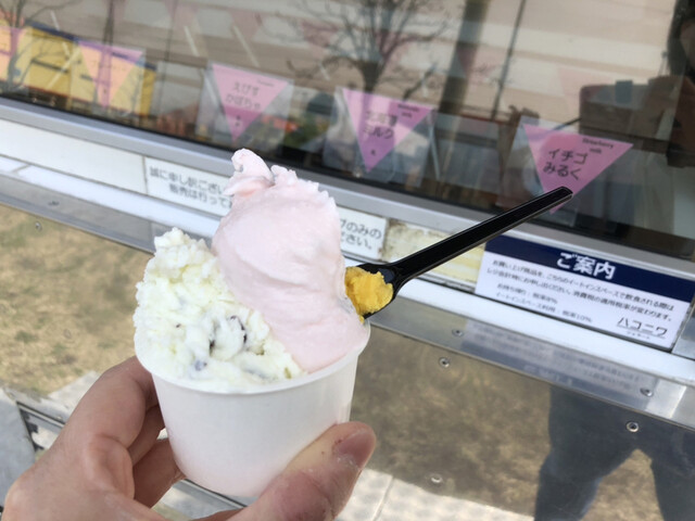 ハコニワジェラート的实拍高清图