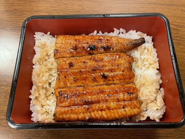 魚政的實拍高清圖