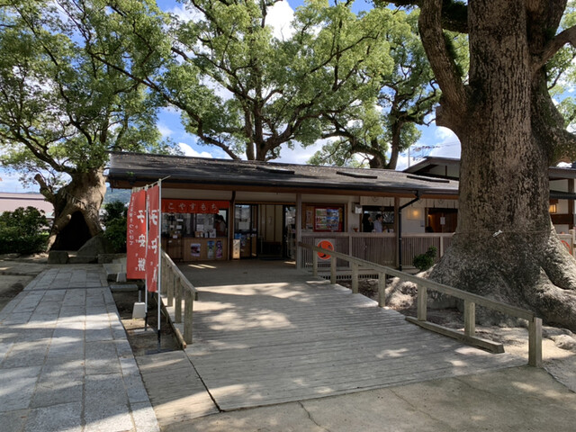 こやすもち的實拍高清圖