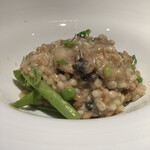 シェルポ的實拍圖