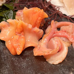 recommendations for 貝せん