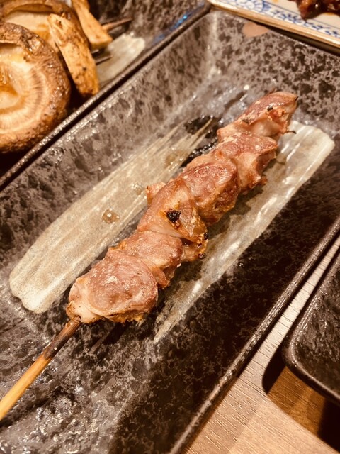 あほう鳥的實拍高清圖