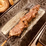 あほう鳥的實拍圖