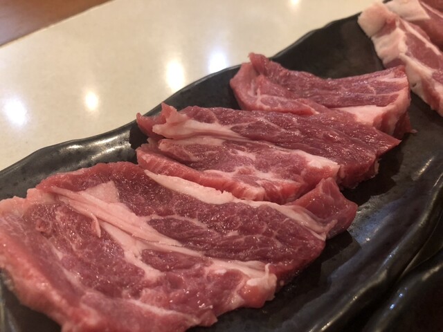 小仔羊的實拍高清圖