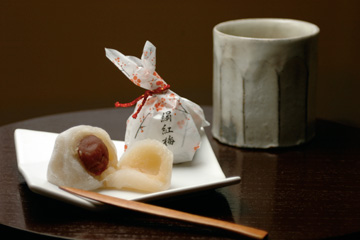 紅梅堂的实拍高清图