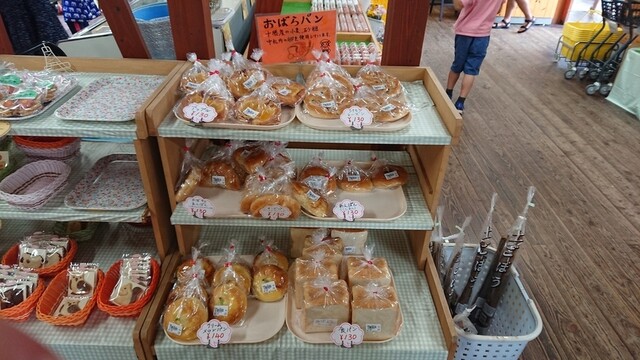おばらパン的实拍高清图