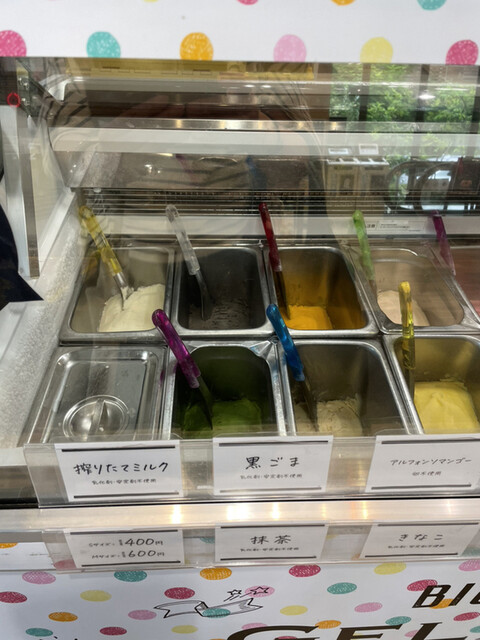 ビオラル 靭店的实拍高清图