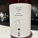 recommendations for kitashinchi U