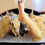 天松的實拍圖