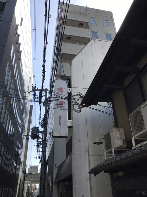 ぎぼし的实拍高清图