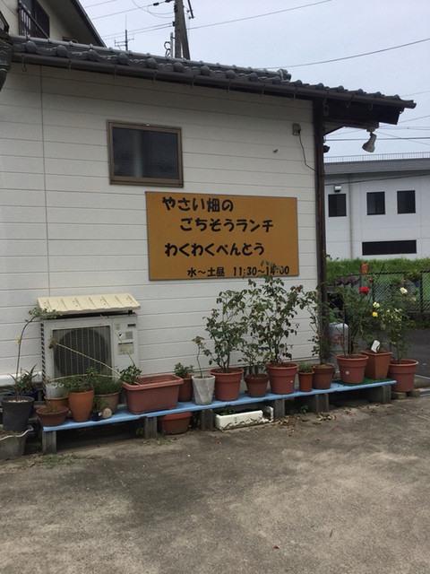 すず菜的实拍高清图