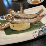 recommendations for 海鮮亭　ととや