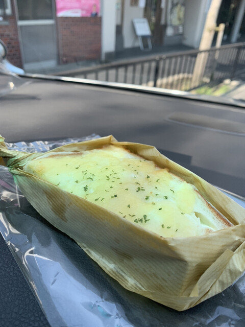 松的实拍高清图