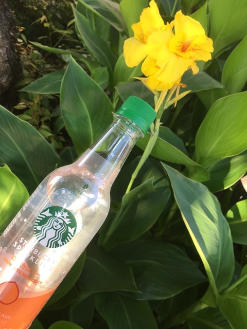 recommendations image for セブンイレブン 練馬中村北3丁目店