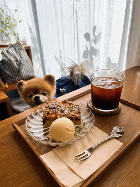 recommendations image for MARRON PAPIER of seoul