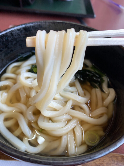 手打ちうどん 居食屋 凡愚的实拍高清图