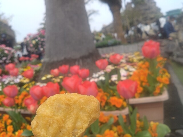 マクドナルド 枚方パーク店的實拍高清圖