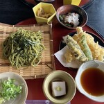 櫟的实拍图