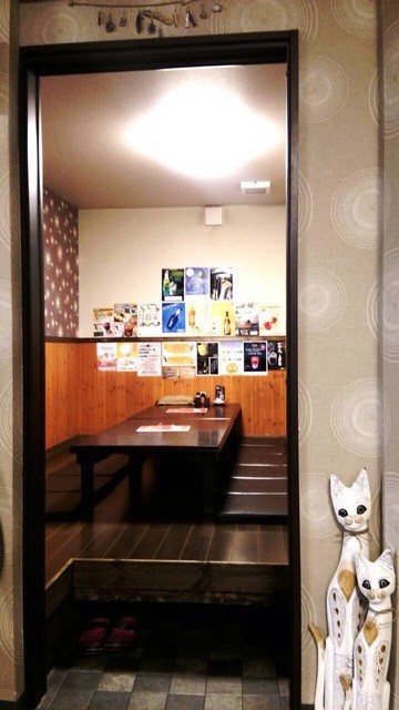 ねこ丸的实拍高清图