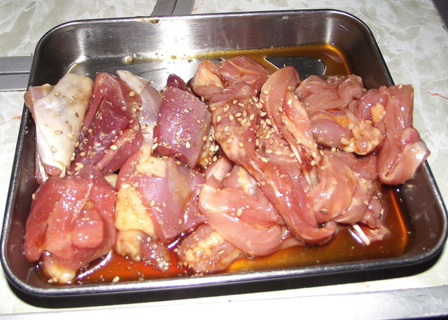 鶏魂鳥福的实拍高清图