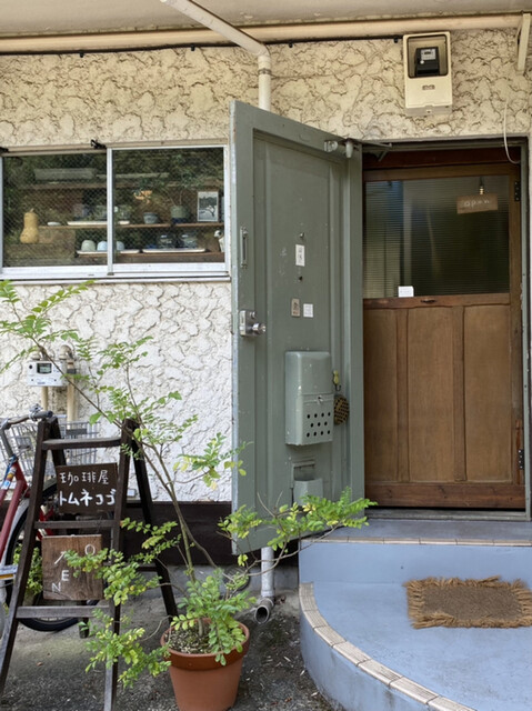 トムネコゴ的實拍高清圖