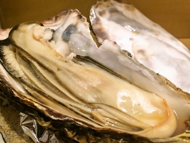 丞怜家的实拍高清图