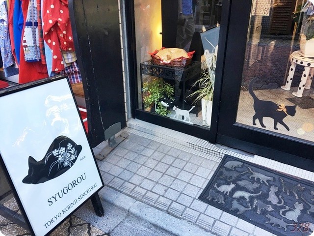 周五郎的實拍高清圖