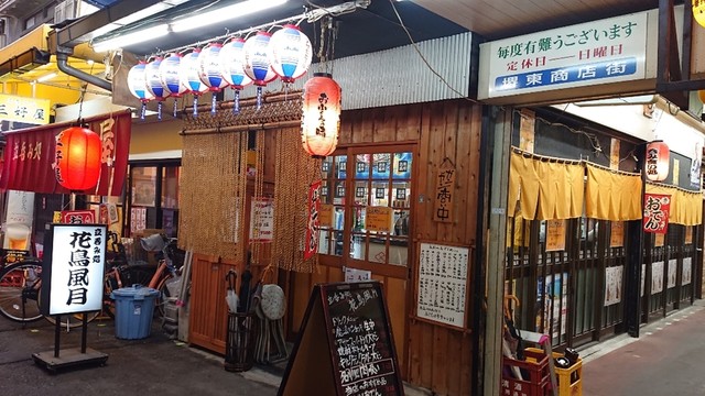 花鳥風月的实拍高清图