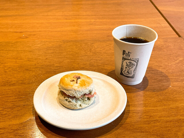 Pati COFFEE&PLANTS的實拍高清圖