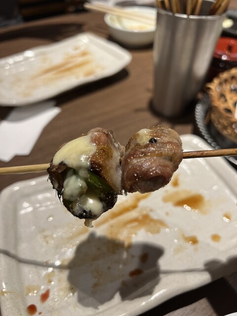 あほう鳥的實拍高清圖