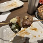 あほう鳥的實拍圖