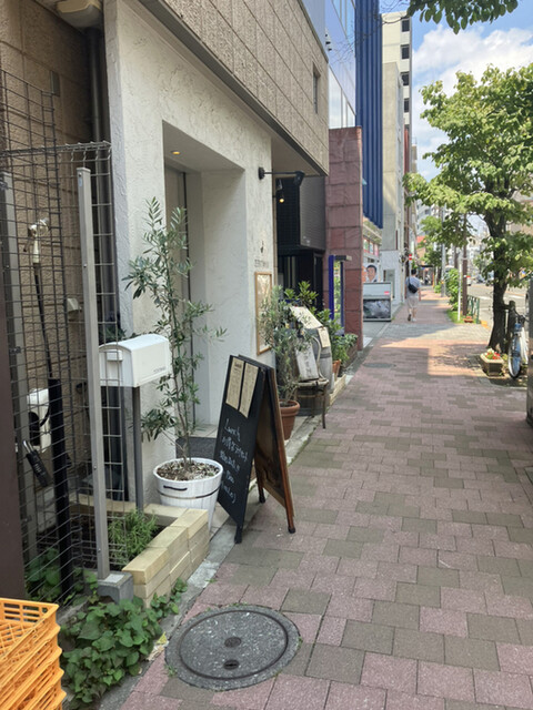 TEPATOMOKA的實拍高清圖